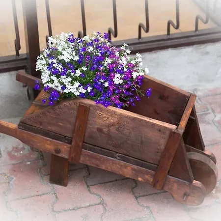 Hotel Mancuso Del Voison